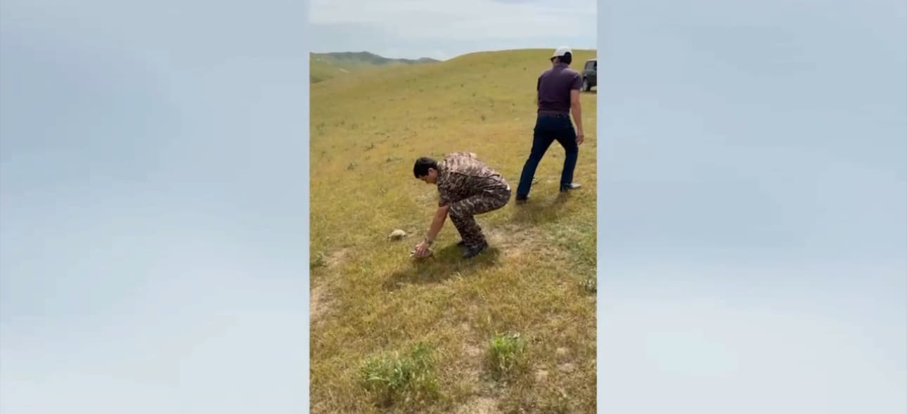 O‘rta Osiyo cho‘l toshbaqalari tabiatga qaytarildi