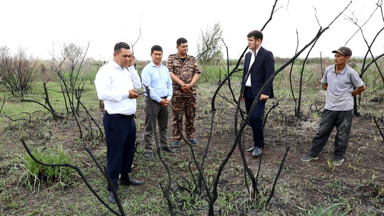 Samarqandda o‘rmon xo‘jaligining 10 gektardan ortiq hududida yong‘in sodir bo‘lgani aniqlandi