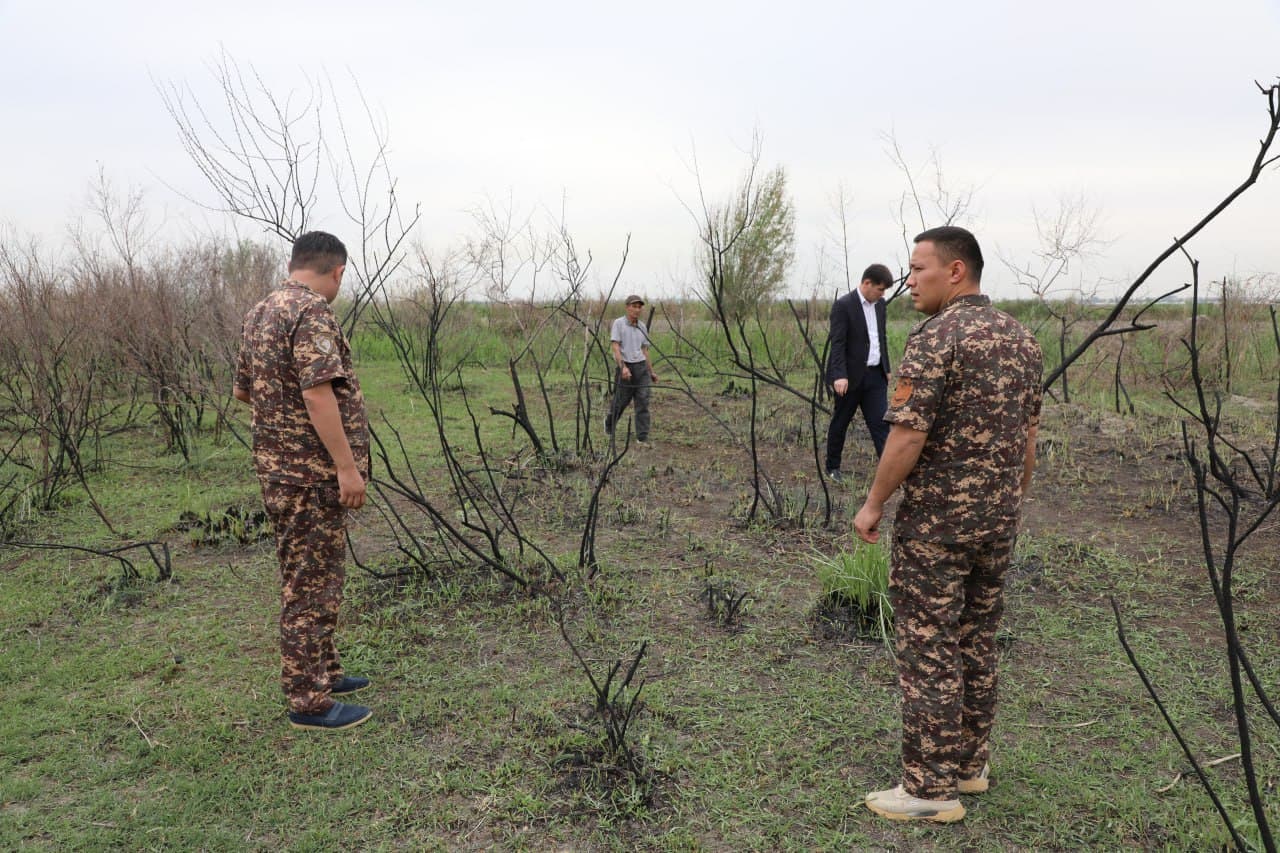 Samarqandda o‘rmon xo‘jaligining 10 gektardan ortiq hududida yong‘in sodir bo‘lgani aniqlandi