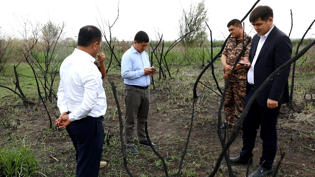 Samarqandda o‘rmon xo‘jaligining 10 gektardan ortiq hududida yong‘in sodir bo‘lgani aniqlandi