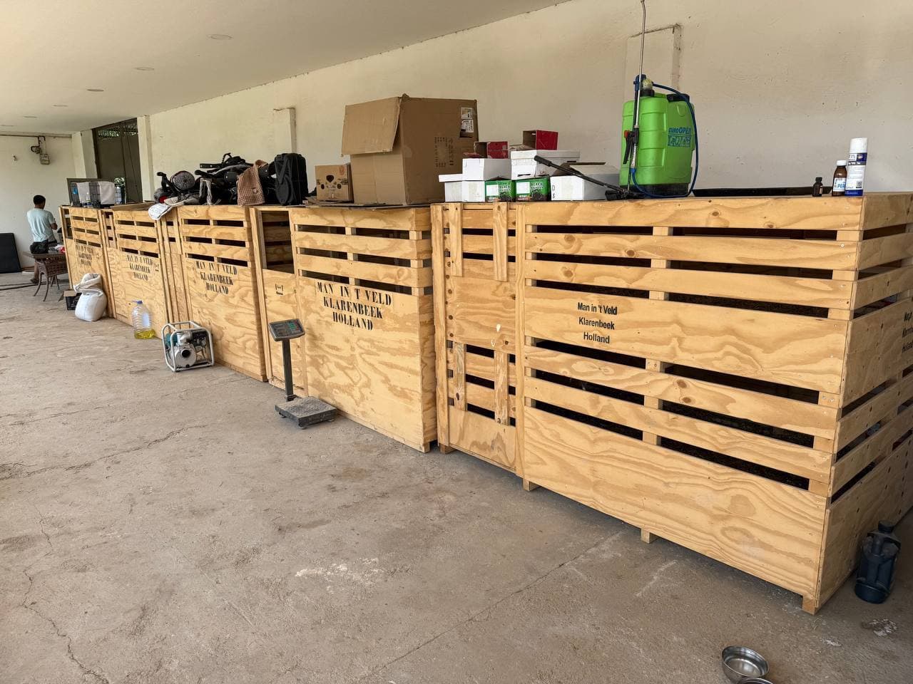 Illegal keeping of wild animals was revealed