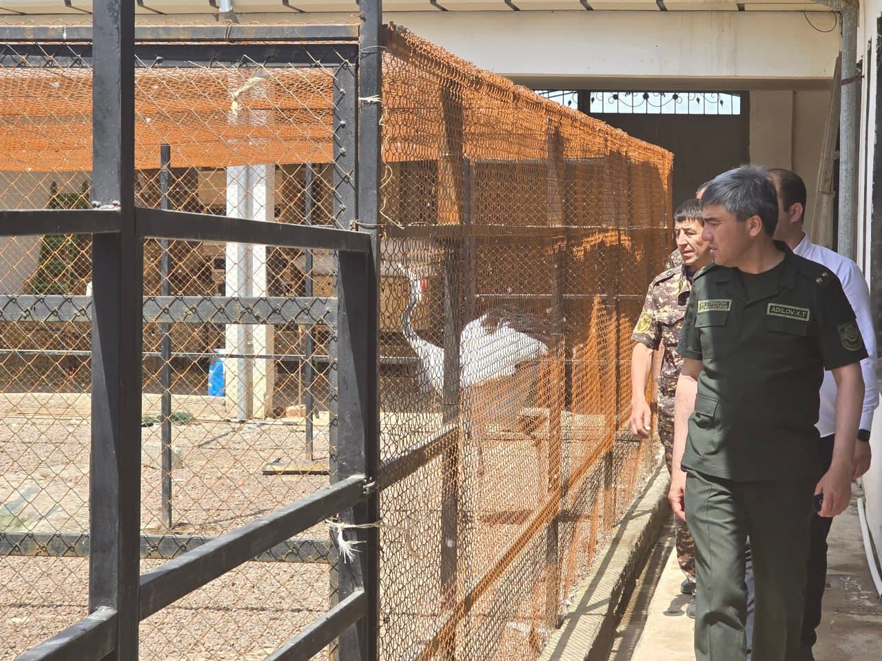 Illegal keeping of wild animals was revealed