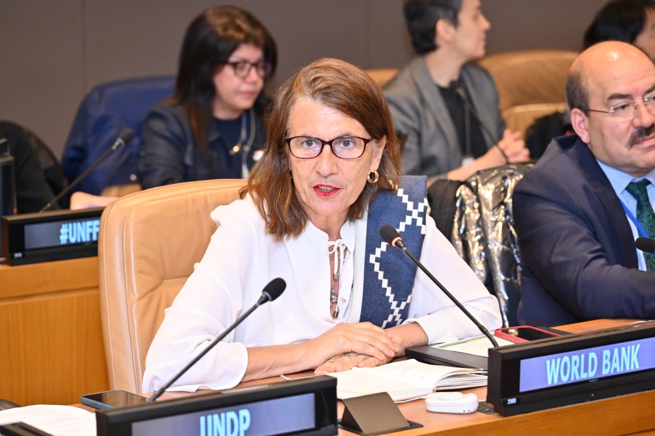 BMTda O‘zbekistonning global o‘rmonlarni qayta tiklash va barqaror o‘rmon boshqaruvini joriy etish bo‘yicha tashabbusi taqdim etildi