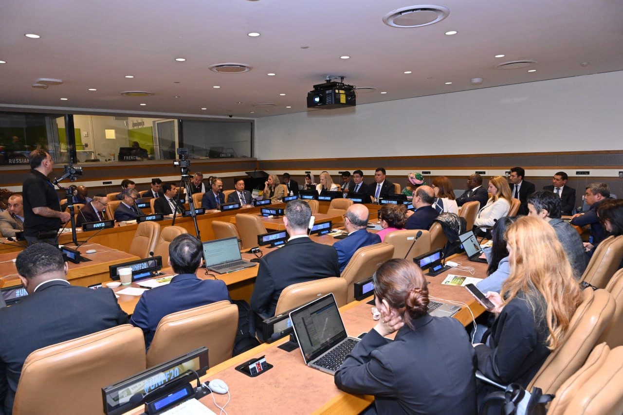 BMTda O‘zbekistonning global o‘rmonlarni qayta tiklash va barqaror o‘rmon boshqaruvini joriy etish bo‘yicha tashabbusi taqdim etildi