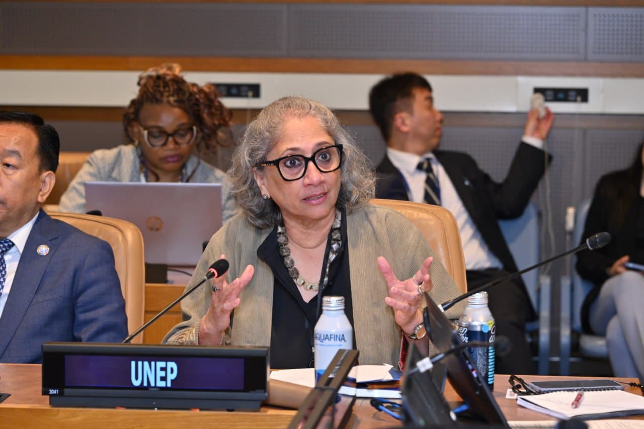 BMTda O‘zbekistonning global o‘rmonlarni qayta tiklash va barqaror o‘rmon boshqaruvini joriy etish bo‘yicha tashabbusi taqdim etildi