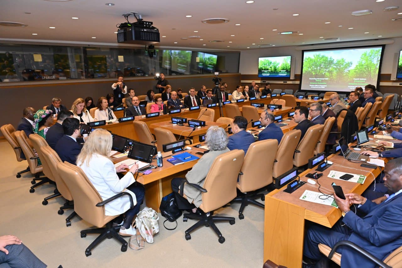BMTda O‘zbekistonning global o‘rmonlarni qayta tiklash va barqaror o‘rmon boshqaruvini joriy etish bo‘yicha tashabbusi taqdim etildi
