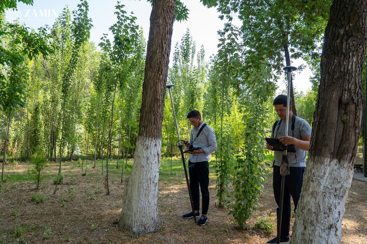 Один миллион деревьев планируется оцифровать до конца года