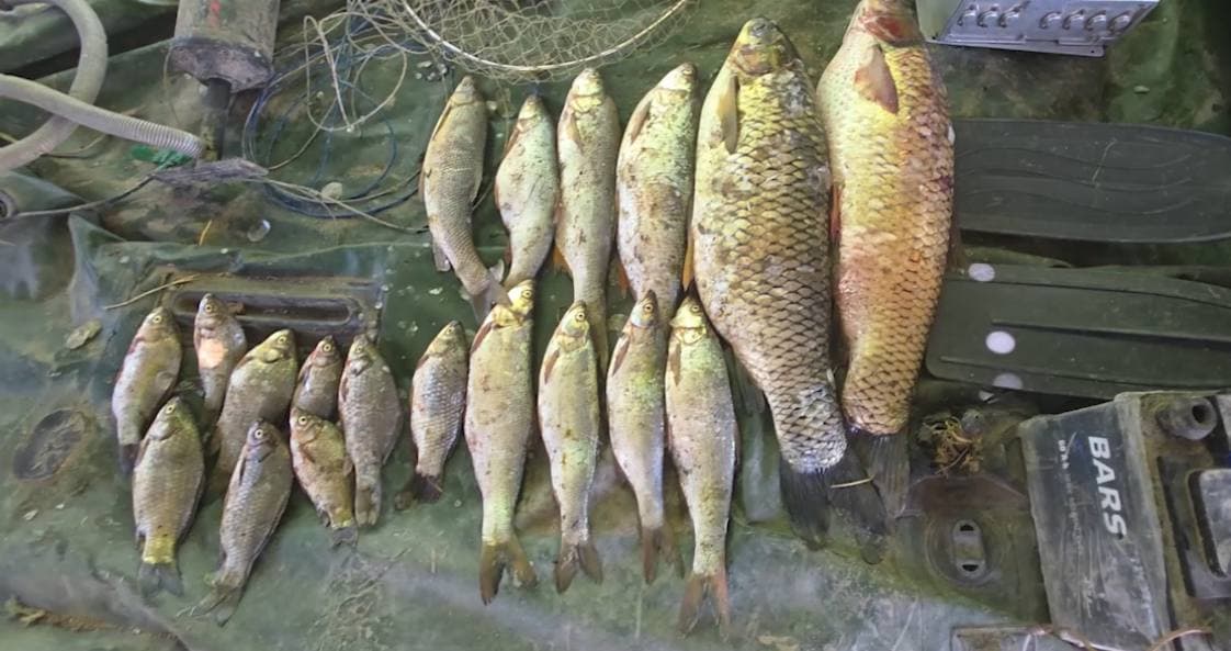 Sirdaryoda 19 ta baliqni noqonuniy ovlagan huquqbuzar ushlandi