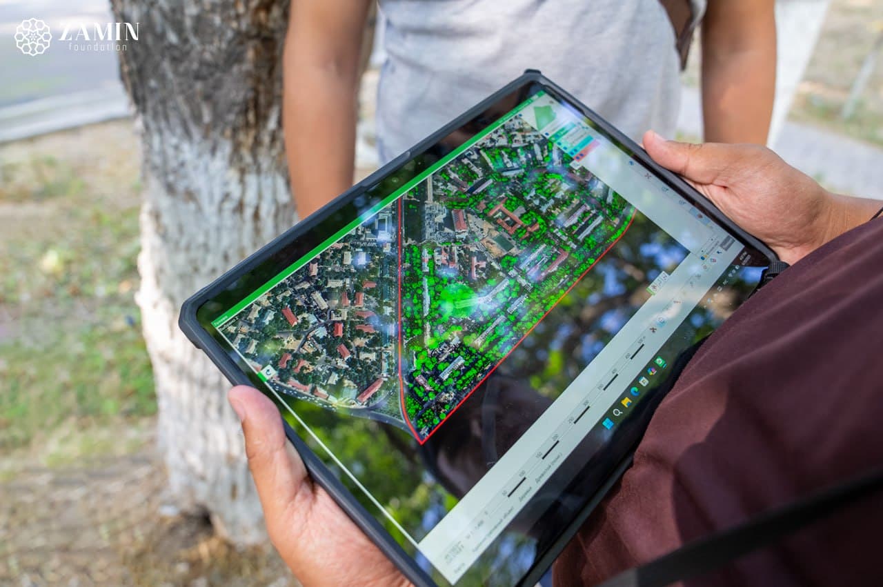 Один миллион деревьев планируется оцифровать до конца года