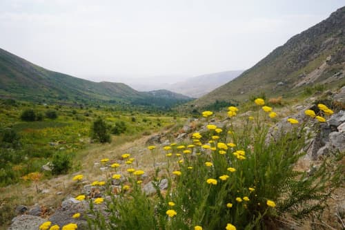 Over 130 People Trained in Land Restoration and Nature Conservation