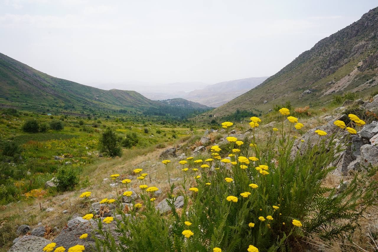 130 nafardan ortiq kishi yerlarni tiklash va tabiatni asrash bo‘yicha o‘qitildi