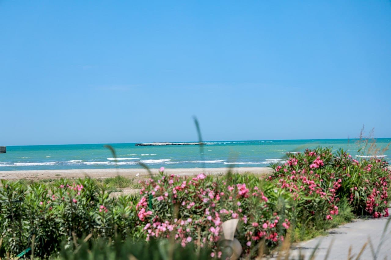 An environmental approach is planned for the implementation of the Sea Breeze project in Uzbekistan