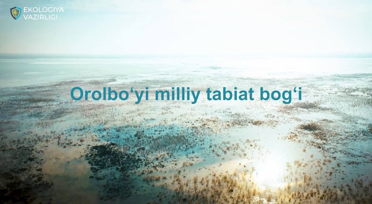 Orolbo‘yida hayvonot va qushlar dunyosi ko‘paymoqda