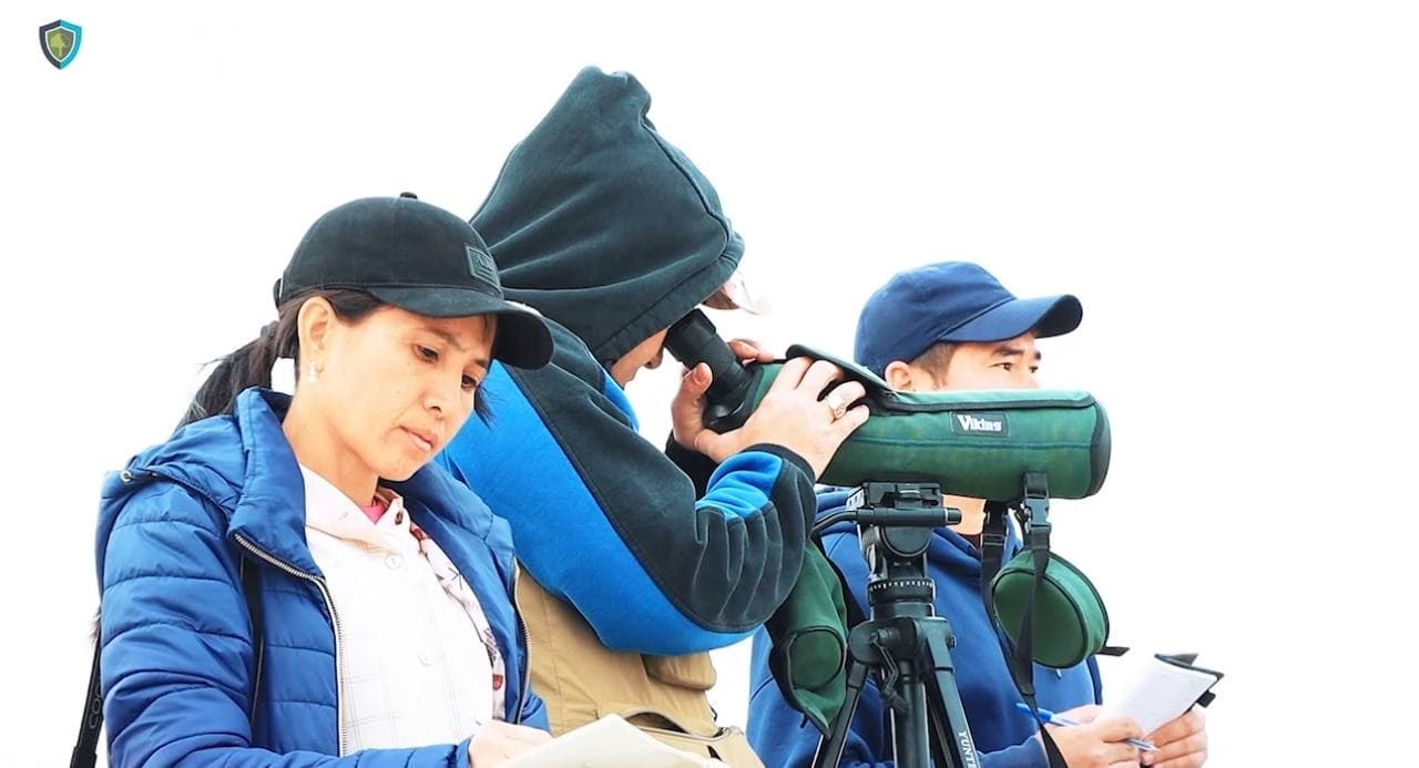 Orolbo‘yida hayvonot va qushlar dunyosi ko‘paymoqda