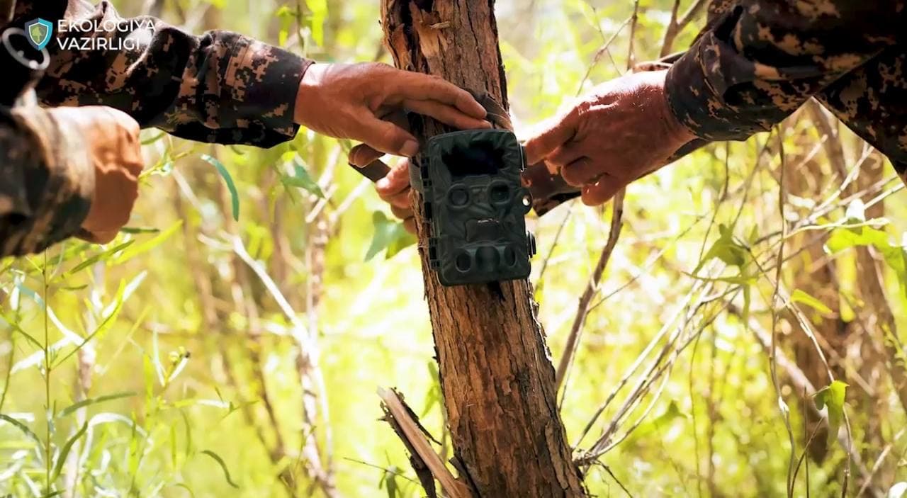 Orolbo‘yida hayvonot va qushlar dunyosi ko‘paymoqda