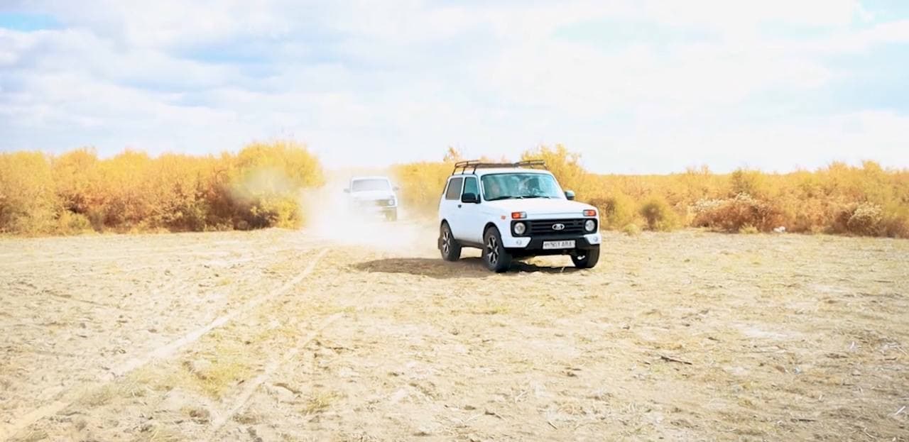 Orolbo‘yida hayvonot va qushlar dunyosi ko‘paymoqda