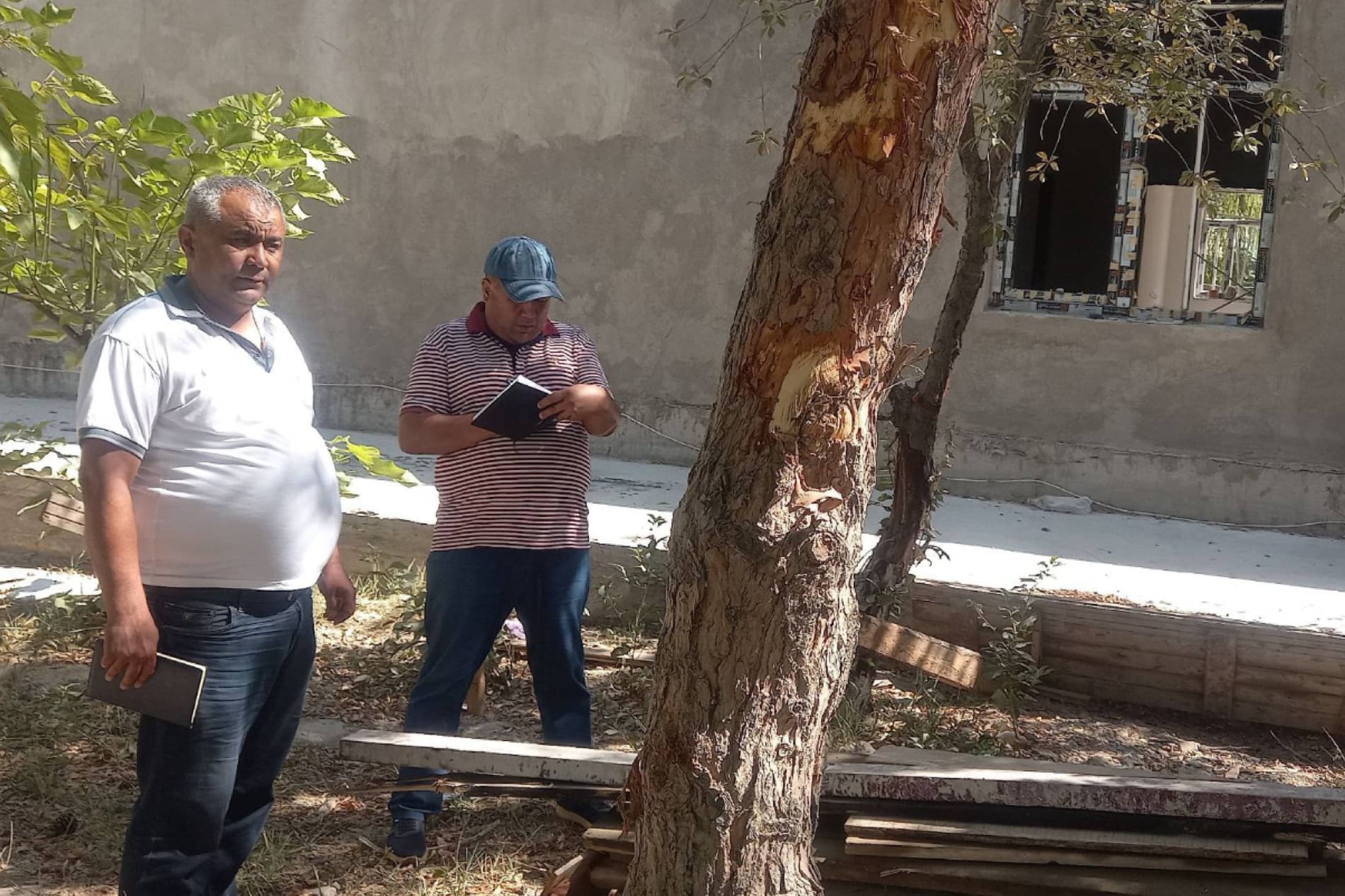 Возбуждено уголовное дело в отношении должностных лиц, незаконно пересадивших деревья