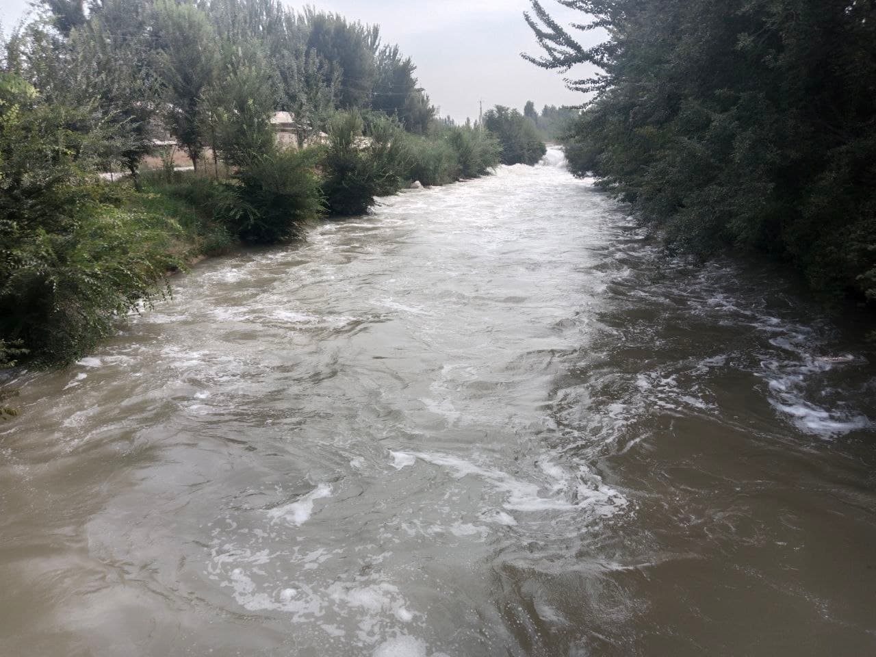 Andijonda Janubiy Farg‘ona kanali suvini ifloslantirayotgan manba aniqlandi