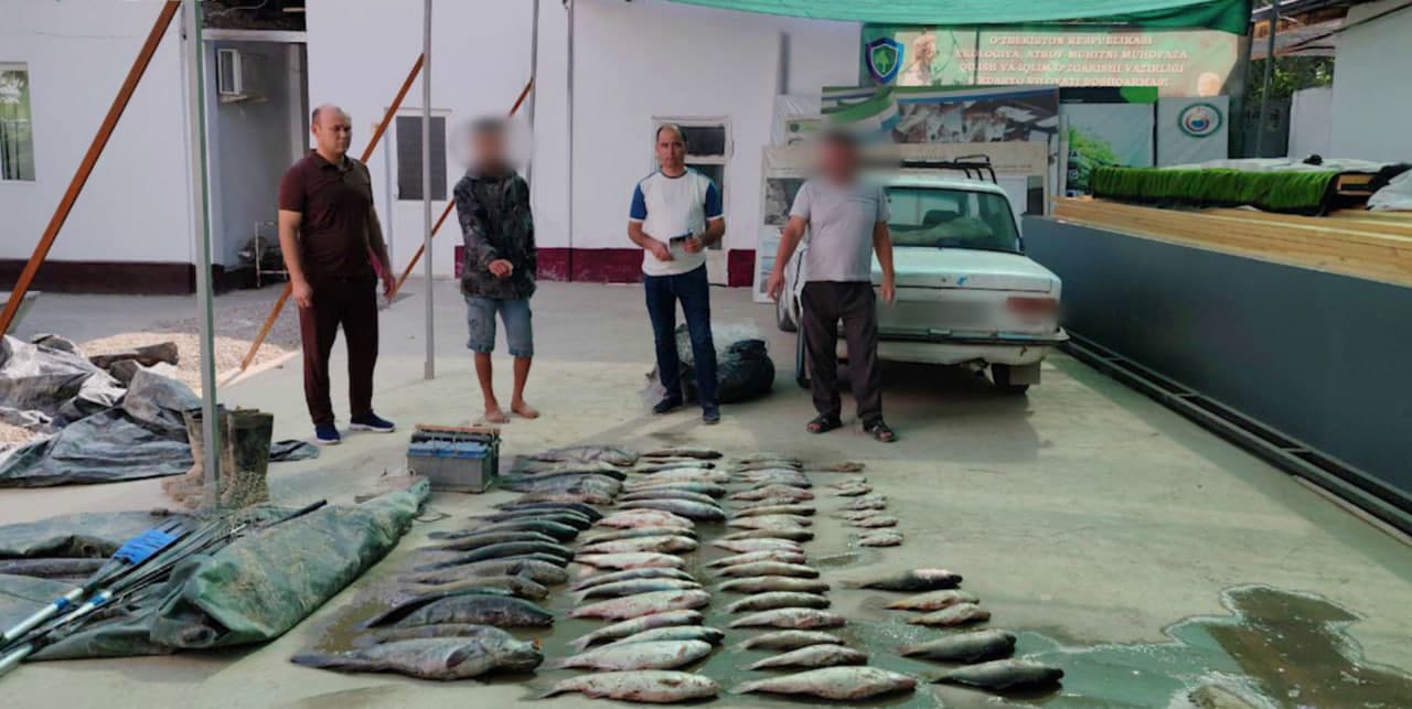 В Узбекистане проходят усиленные рейды против незаконного лова рыбы с использованием электротока