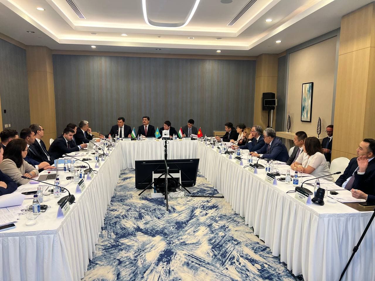 Обсуждены вопросы подготовки к Региональному экологическому саммиту Центральной Азии