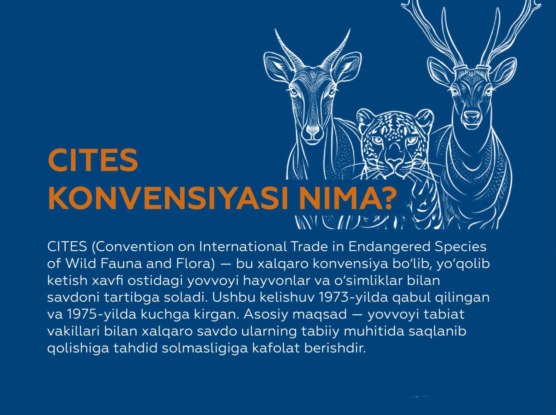 What is the CITES Convention?