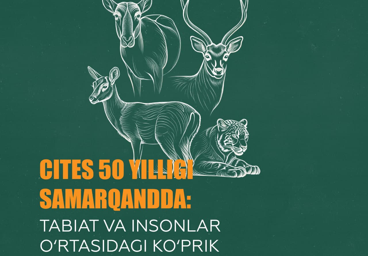 CITES CoP20 ga 100 kun: O‘zbekiston rasmiy konferensiya shiorini e’lon qildi
