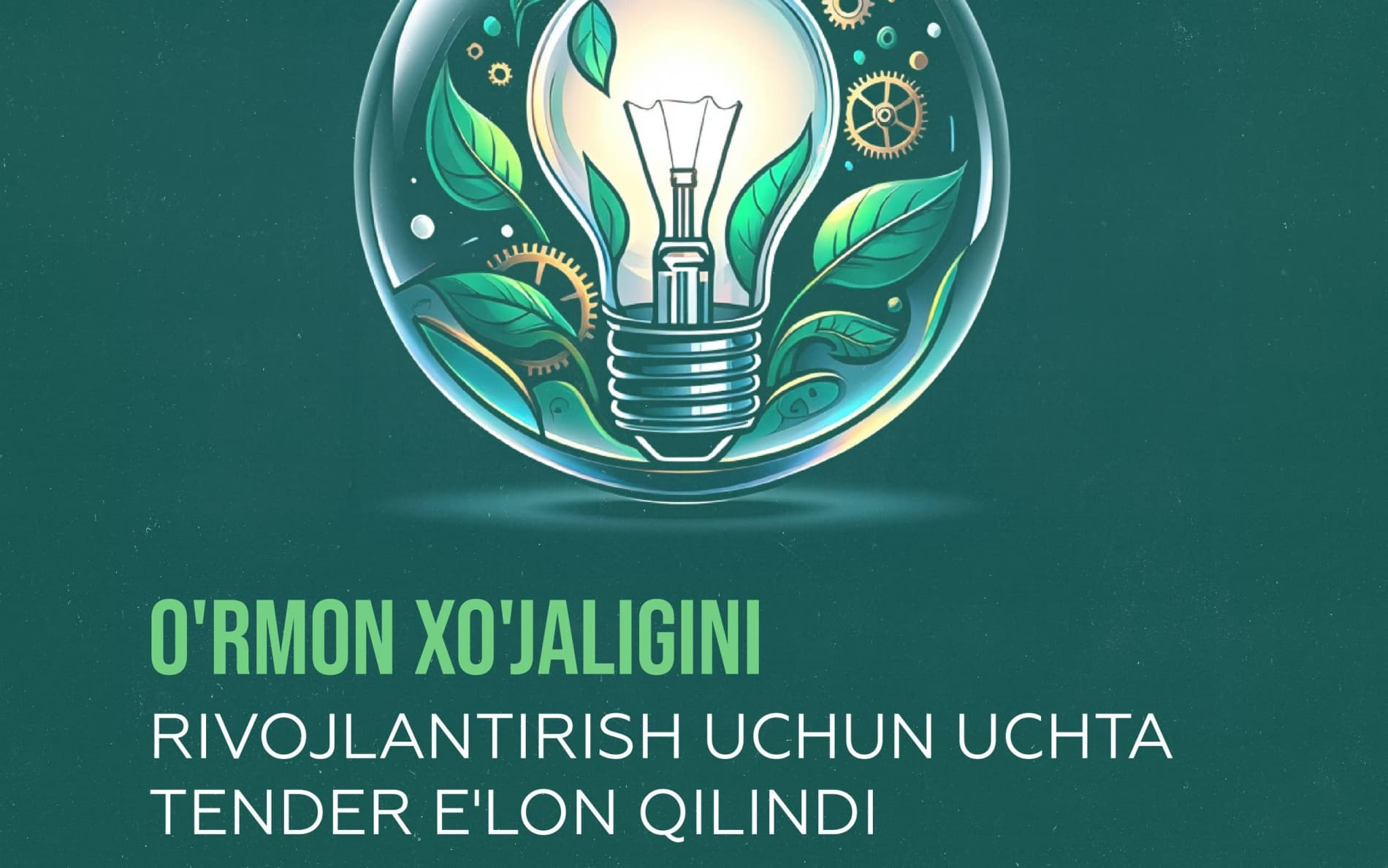 O'rmon xo'jaligini rivojlantirish uchun uchta tender e'lon qilindi