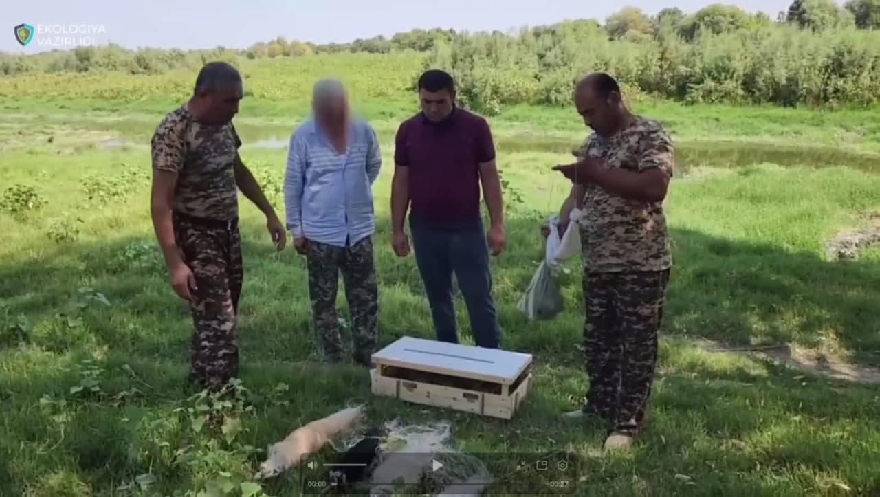 В Аккурганском районе выявлен факт незаконной охоты на перепелов