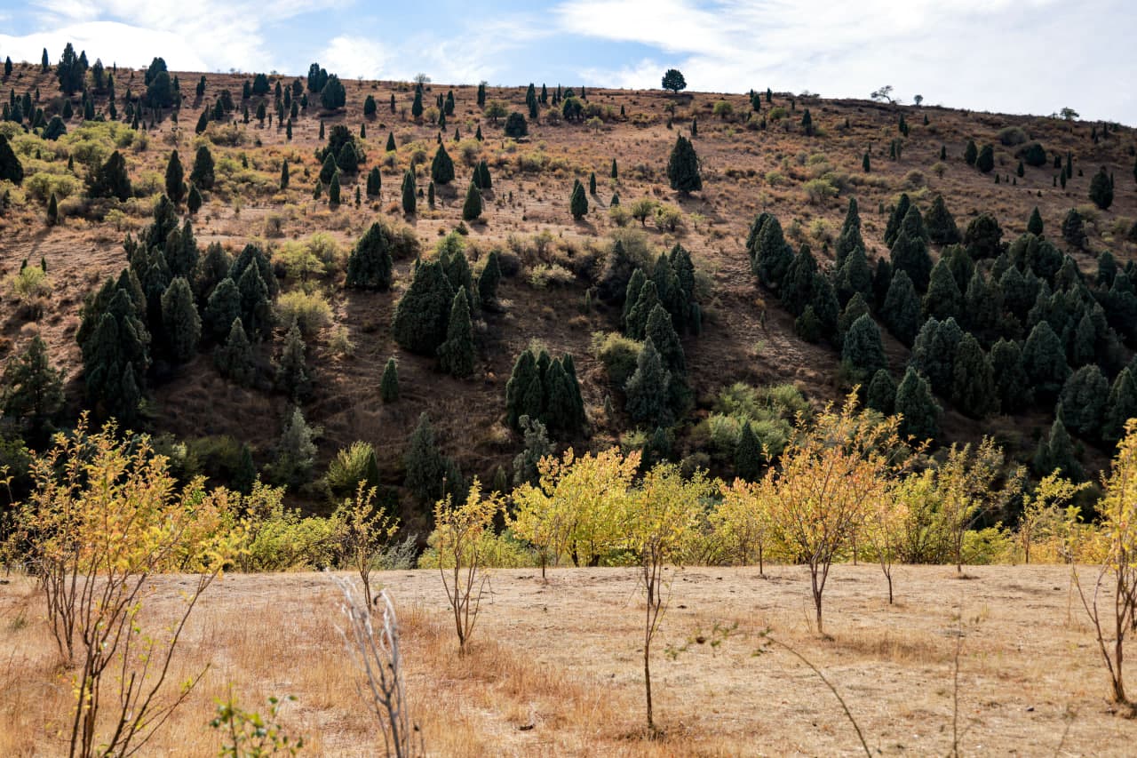 Совершенствуется система эффективного использования земель и предотвращения правонарушений