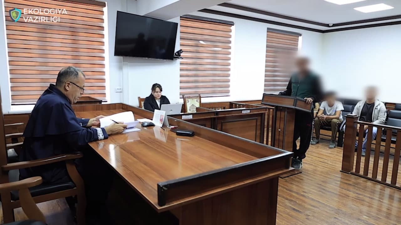 Saksovulni noqonuniy sindirib olib ketayotganlar qamaldi