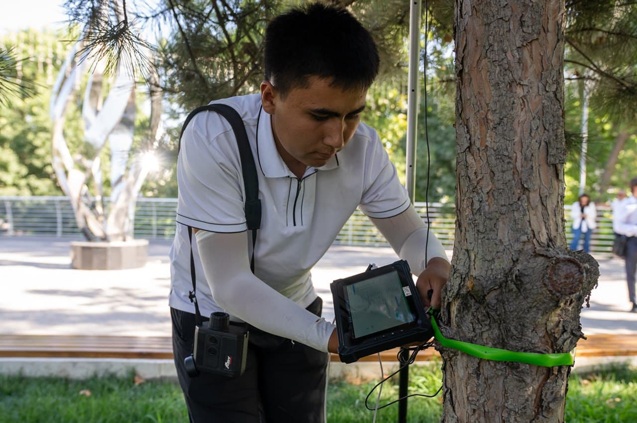 Poytaxtdagi 400 mingdan ortiq daraxt elektron ma’lumotlar bazasiga kiritildi