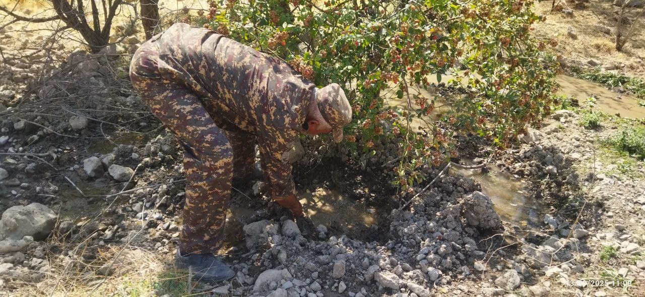 Muhofaza hududlaridagi jonivorlarlar qo‘shimcha ozuqalar bilan ta'minlanmoqda