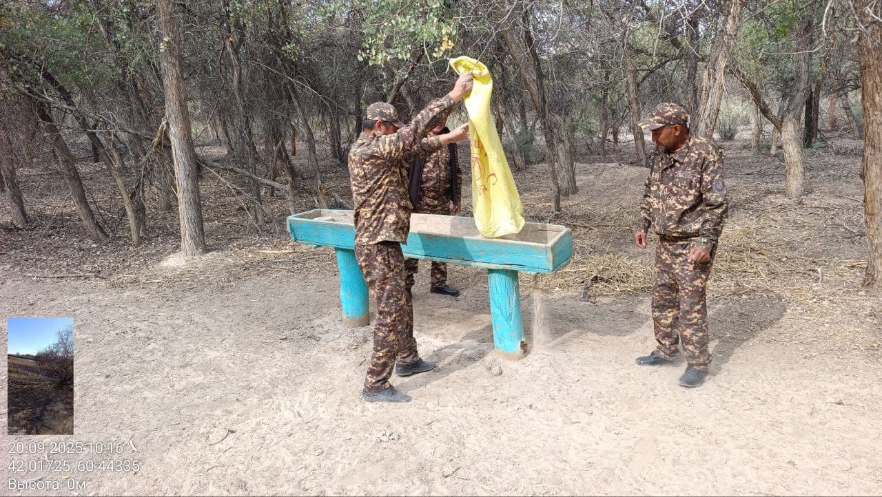 Muhofaza hududlaridagi jonivorlarlar qo‘shimcha ozuqalar bilan ta'minlanmoqda