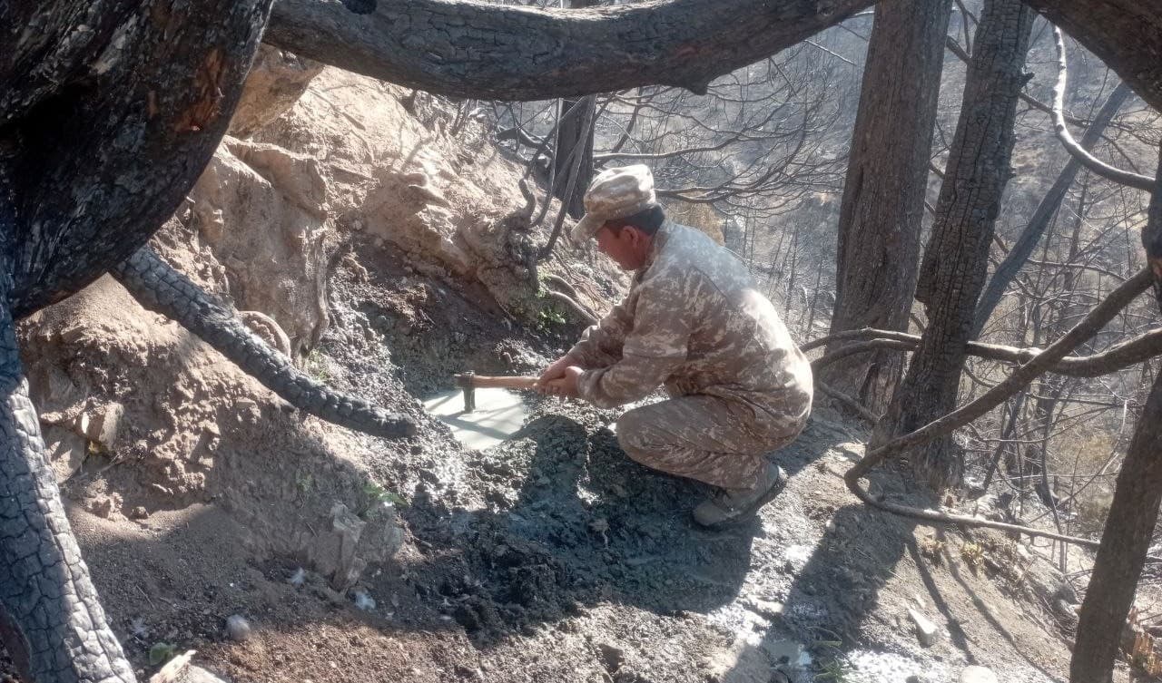 Muhofaza hududlaridagi jonivorlarlar qo‘shimcha ozuqalar bilan ta'minlanmoqda