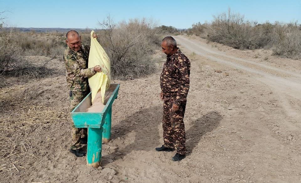 Muhofaza hududlaridagi jonivorlarlar qo‘shimcha ozuqalar bilan ta'minlanmoqda