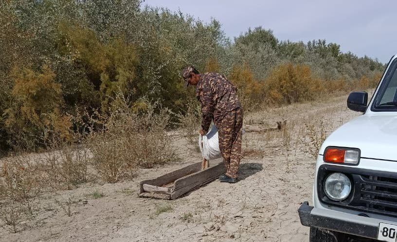 Muhofaza hududlaridagi jonivorlarlar qo‘shimcha ozuqalar bilan ta'minlanmoqda