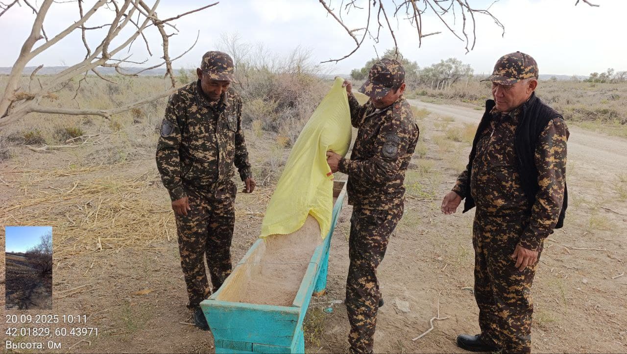 Muhofaza hududlaridagi jonivorlarlar qo‘shimcha ozuqalar bilan ta'minlanmoqda