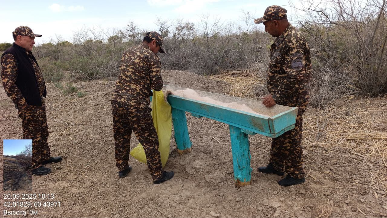 Muhofaza hududlaridagi jonivorlarlar qo‘shimcha ozuqalar bilan ta'minlanmoqda