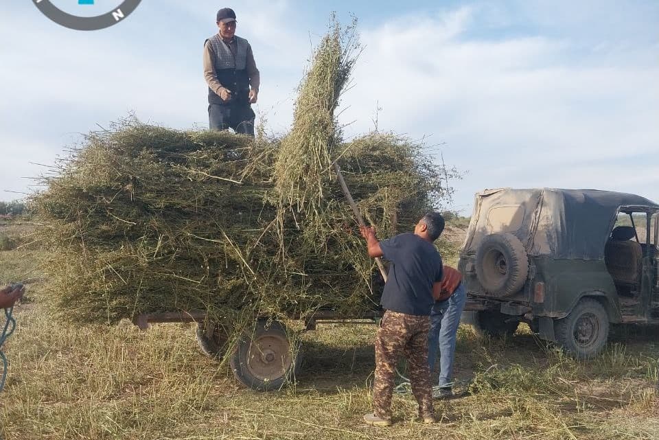 Muhofaza hududlaridagi jonivorlarlar qo‘shimcha ozuqalar bilan ta'minlanmoqda