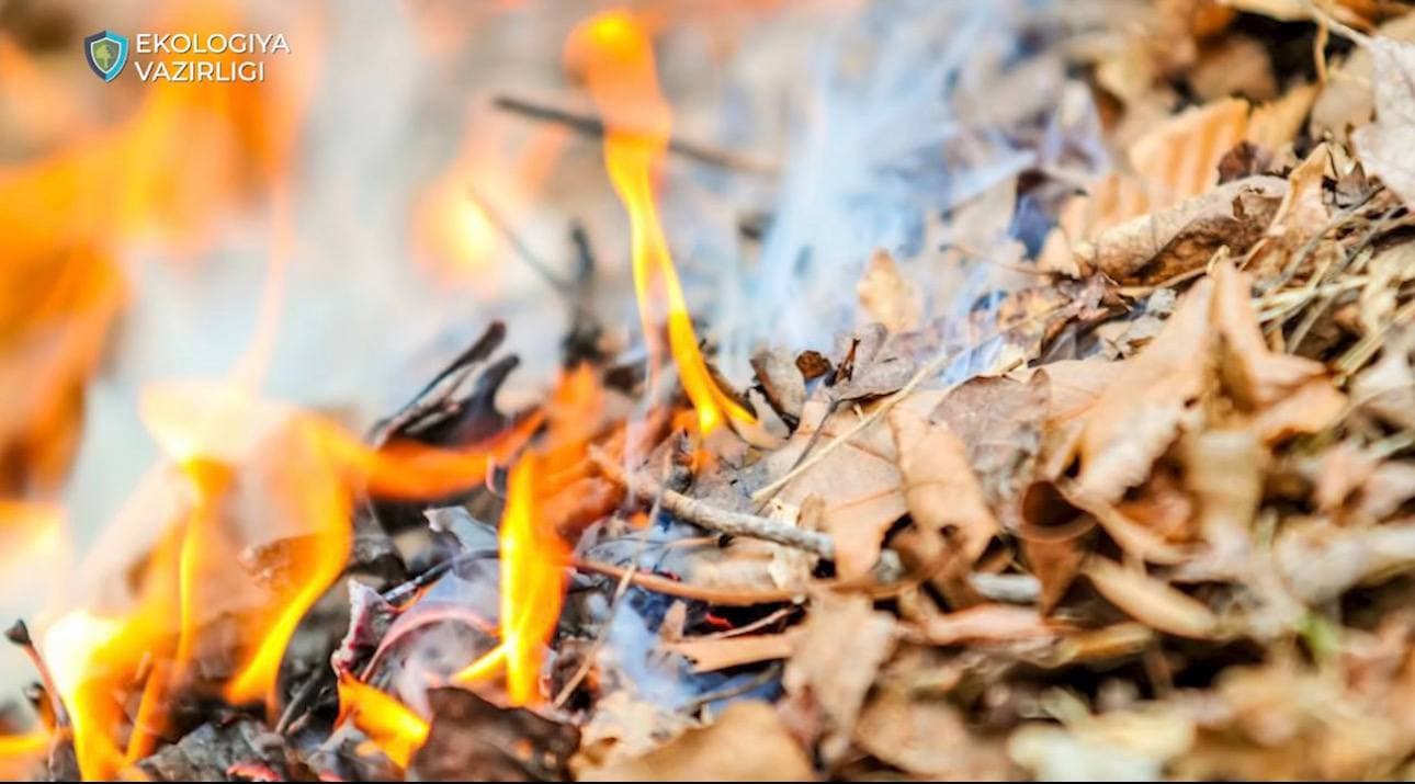 What Is the Fine for Burning Leaves?