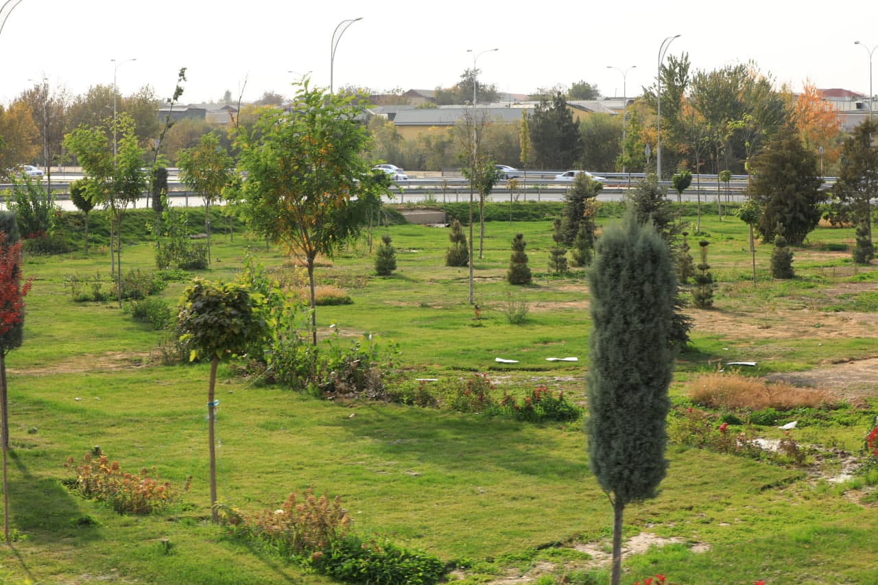 «Новое дерево – новое дыхание»: в республике будет организован эко-чемпионат