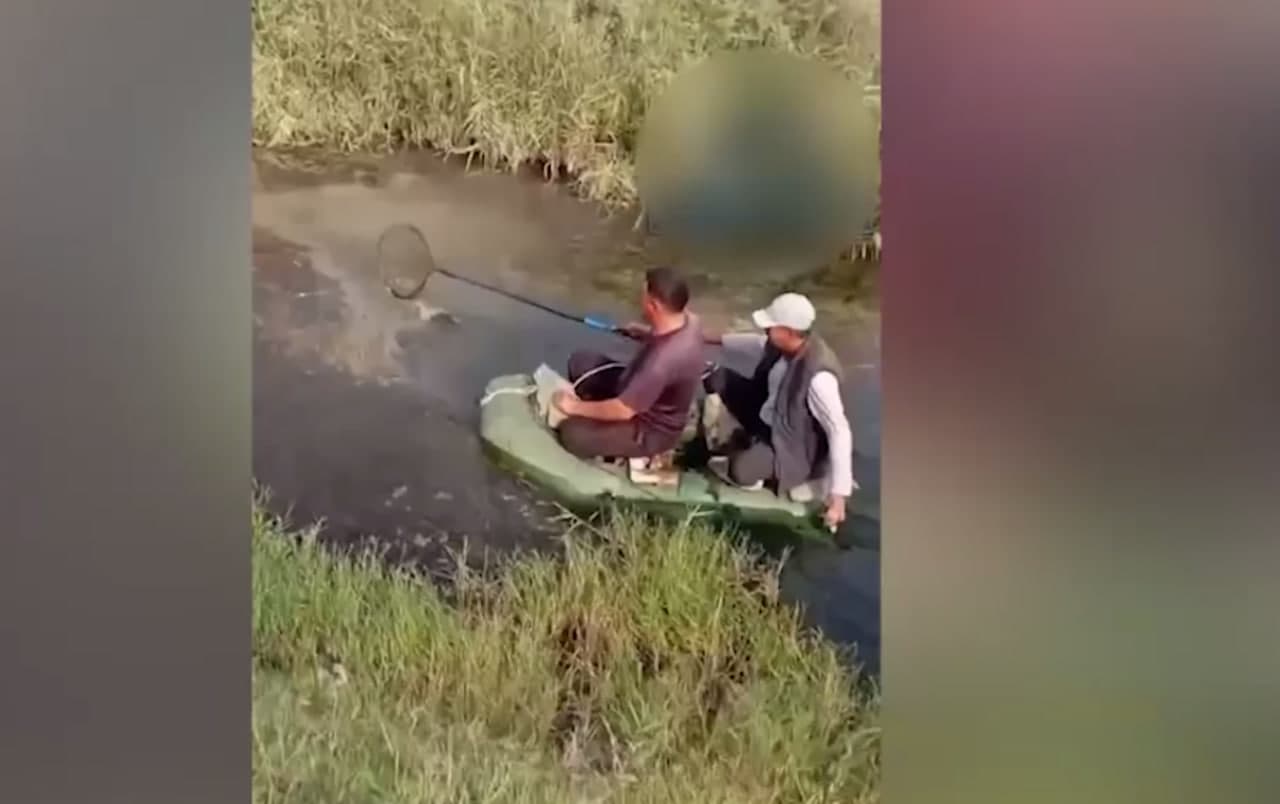 Bekobodda tabiatga 8 million so‘mdan ortiq zarar yetkazildi