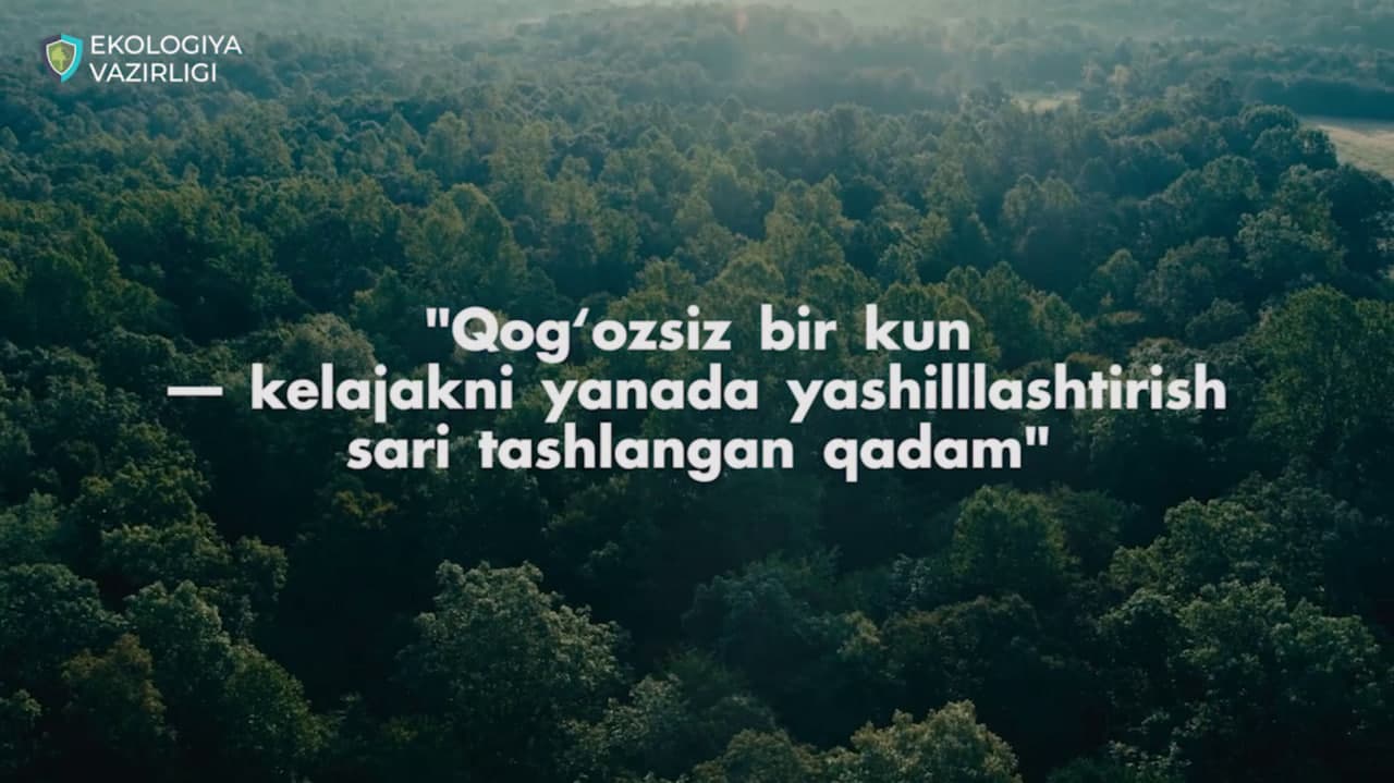 Всемирный день без бумаги: выбираем цифровое будущее