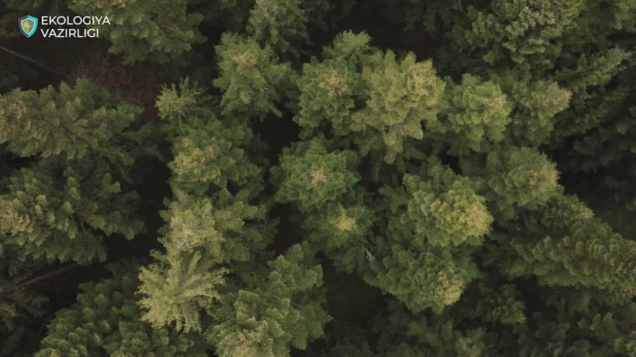 Всемирный день без бумаги: выбираем цифровое будущее