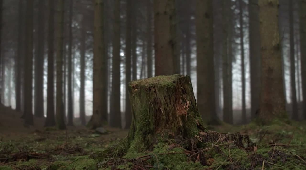 Всемирный день без бумаги: выбираем цифровое будущее