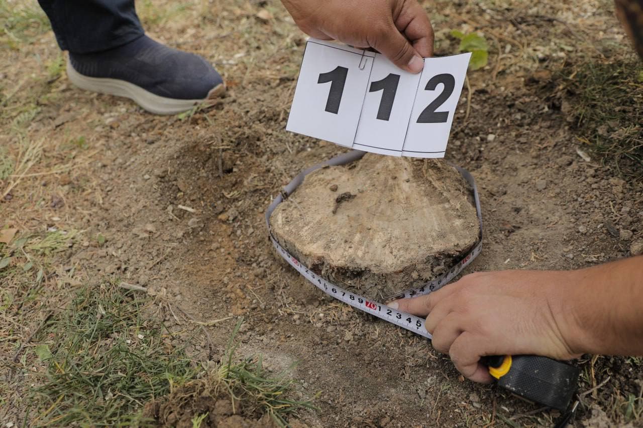 Официальное сообщение