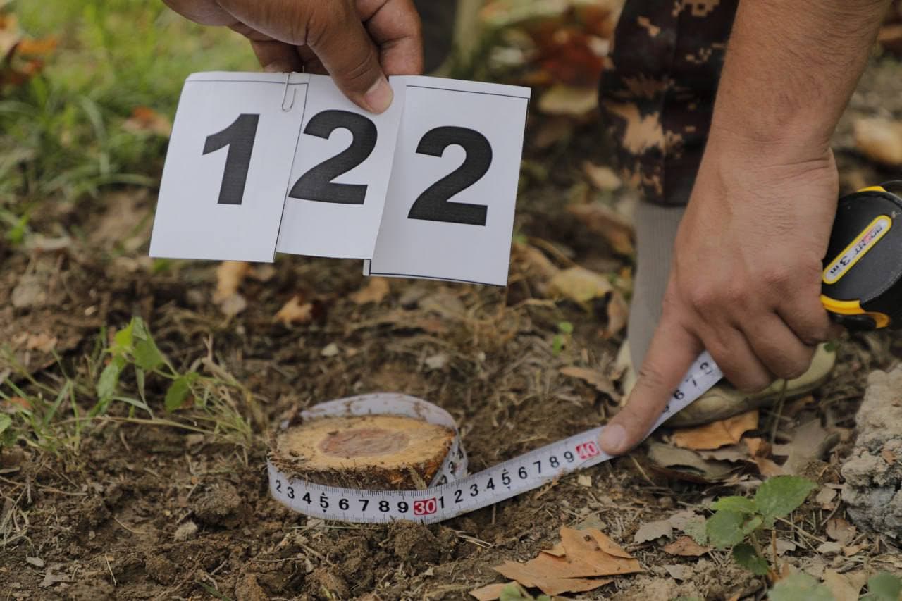 Официальное сообщение