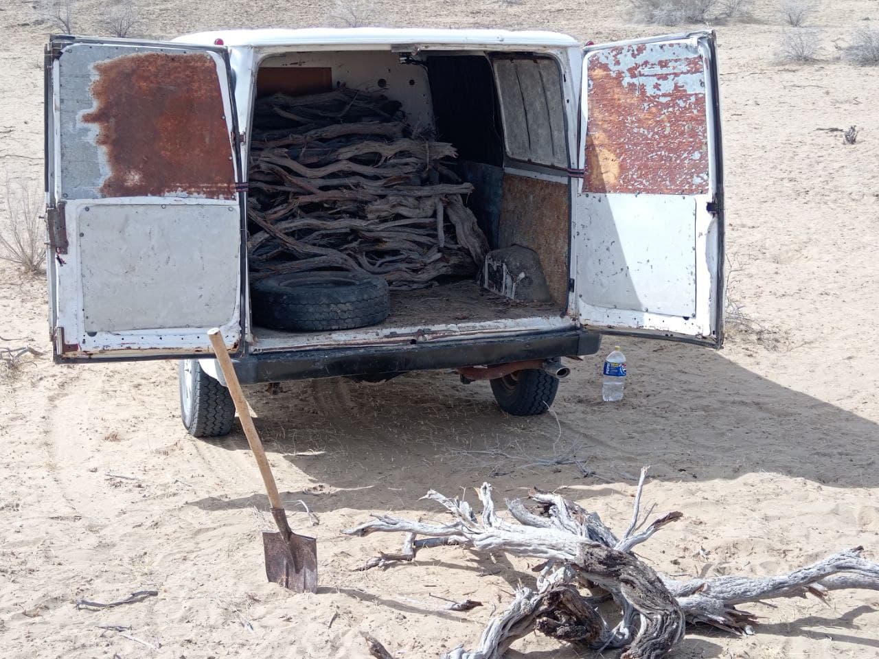 Остановлен нарушитель, незаконно добывающий саксаул