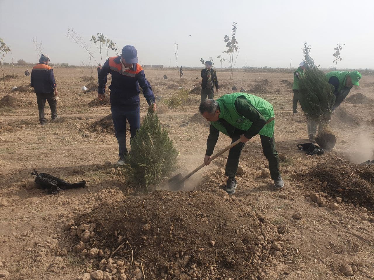 Во всех регионах страны реализован проект «Зелёный сад»