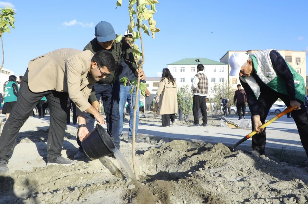 Во всех регионах страны реализован проект «Зелёный сад»